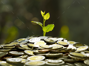 ess, saving, growth, economic concept
