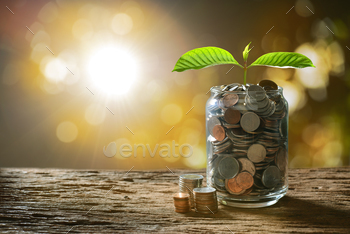 jar for business, saving, growth, economic concept