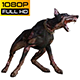 Dog Zombie 3 Realistic Pack 5 - VideoHive Item for Sale