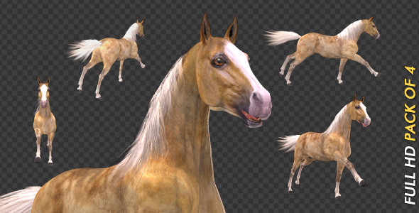 Palomino Horse - Gallop Loop - Pack of 4