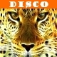 Disco Kit
