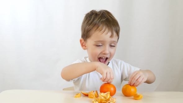 Boy Child Playing with Tangerines  on a White Background. A Happy Child Sits at the Table