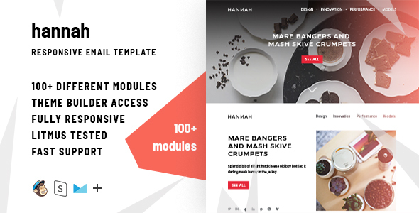 Hannah – 100+ Responsive Modules + StampReady, MailChimp and CampaignMonitor compatible files