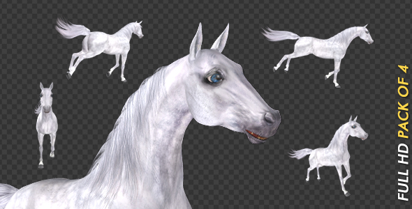 White Horse - Gallop Loop - Pack of 4 alt