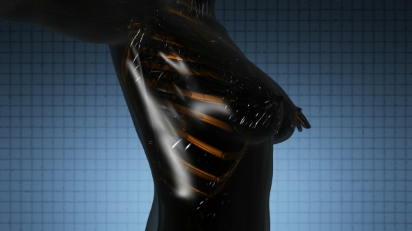 Human Body with Visible Skeletal Bones alt