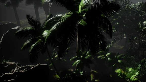 Sunset Beams Through Palm Trees alt