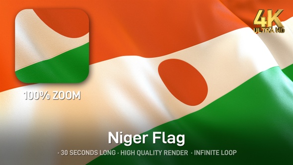 Niger Flag - 4K