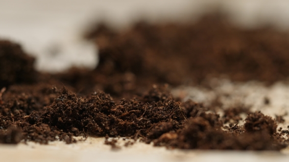 Soil on a Studio Table