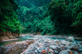 Mysterious jungle landscape with fast stream. Sumatra, Indonesia. - PhotoDune Item for Sale