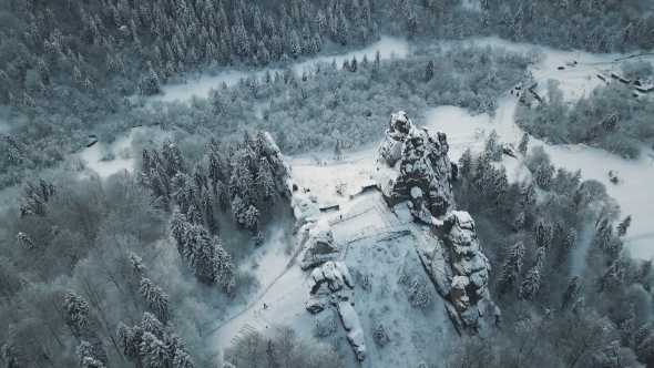 Aerial View of Winter Mountains, Alpine Meadow - Hills Covered with Huge Pine Trees and Snow-capped