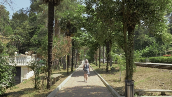 Young Girl Walking Along the Palm Alley. Batumi Botanical Garden, Georgia