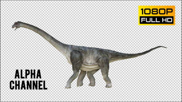 Brachiosaurus 2 Realistic