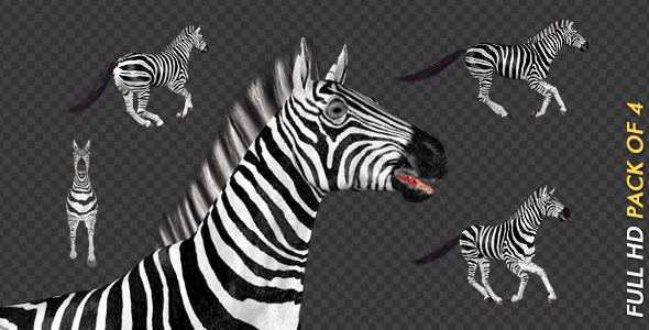 Zebra - Gallop Loop - Pack of 4 alt