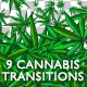 9 Cannabis Transitions - VideoHive Item for Sale