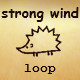 Wind Loop
