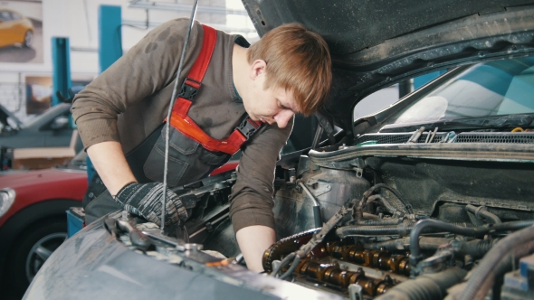 The Mechanic Works Under the Hood of the Car