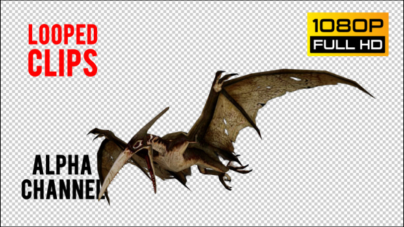 Pteranodon 1 Realistic Pack 3