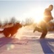Dog and Man Running in the Snow - VideoHive Item for Sale
