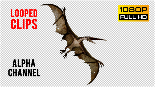 Pteranodon 2 Realistic Pack 3