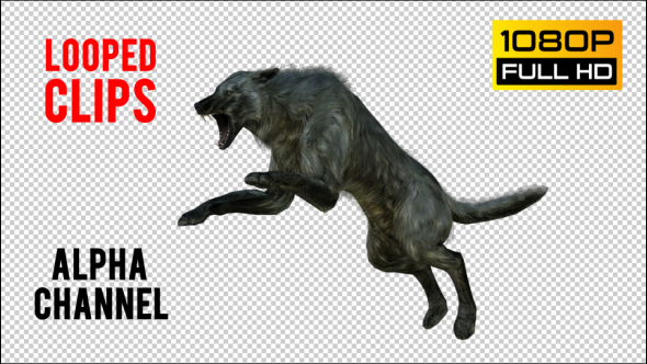 Wolf 1 Realistic Pack 3