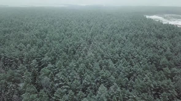 Winter forest nature snow-covered winter trees landscape view from air.