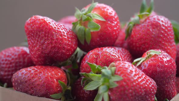 Harvest Of Ripe Red Strawberries Rotation Closeup