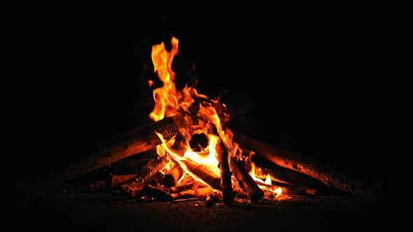 Camp Fire (4K)