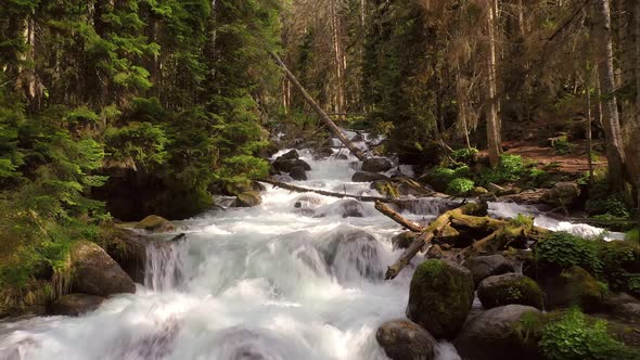 Mountain River in the Wood. Beautiful Wildlife landscape