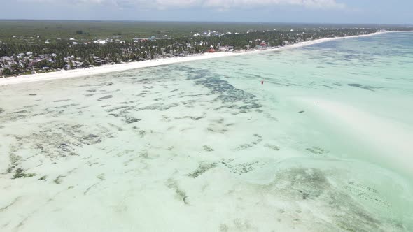 Shore of Zanzibar Island Tanzania at Low Tide