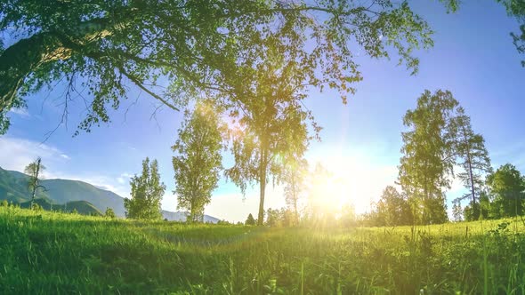 Mountain Meadow Timelapse at the Summer or Autumn Time