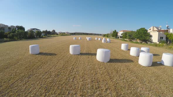 Aerial Monitoring of Fields, Careful Owner Checking Crops on His Farmland