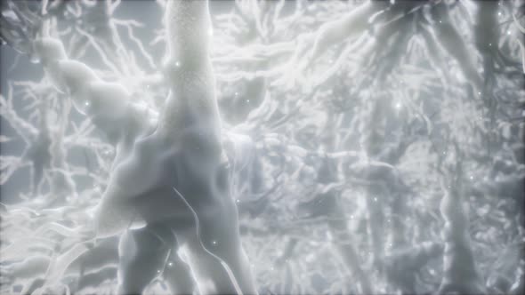 Journey Through a Neuron Cell Network Inside the Brain alt