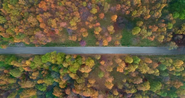 Overhead Side Aerial Top View Following Over Road in Colorful Countryside Autumn Forest