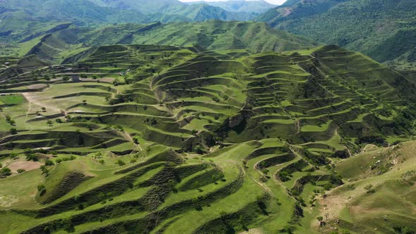 Top view on the green agricultural fields in countryside