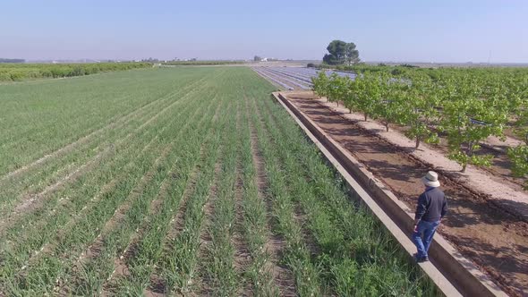 Farmer Walks Through the Fields