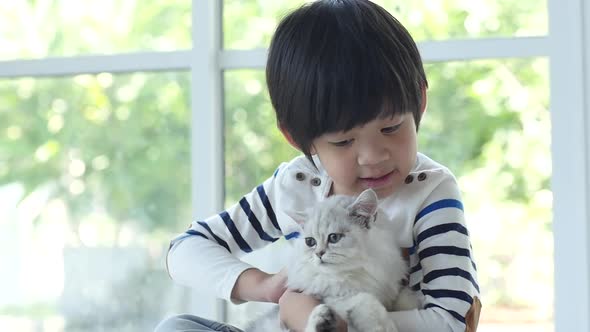 Cute Asian Child Hugging And Holding Kitten Slow Motion