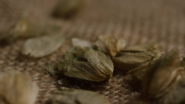 Rotating shot of barley and other beer brewing ingredients