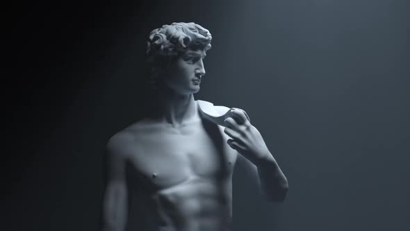 DAVID STATUE by Michelangelo