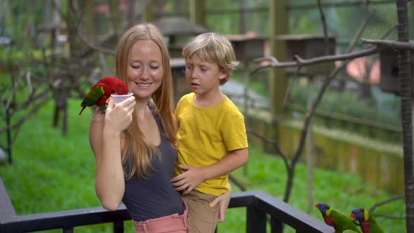 Super Slowmotion Shot of a Mother and Son in a Bird Park Feed a Group of Green and Red Parrots with