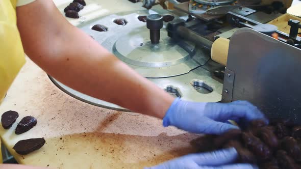 Crop Hands Putting Sweets Into Wrapping Machine. Candy Factory.