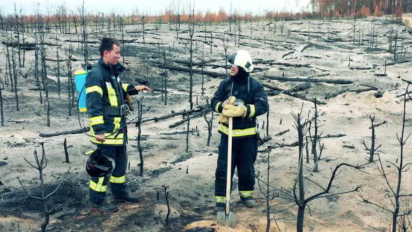 Forest Fire Zone with Two Firemen Talking
