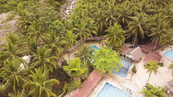 Tropical Resort Hotel Among Green Palm Trees From Above Flying Drone. Man Swimming in Blue Water