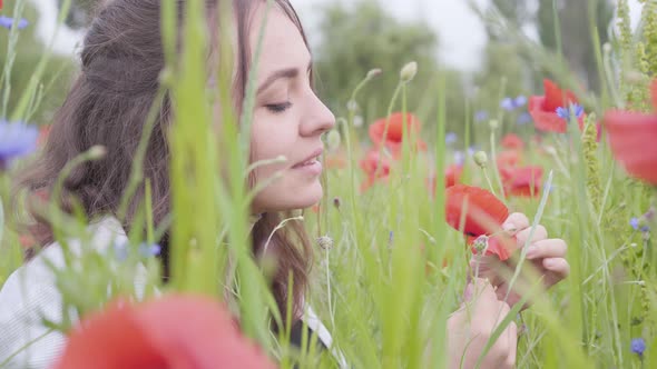 Side View of Pretty Girl in Poppy Field Tears Off Petals of a Poppy Flower Close-up. Connection with