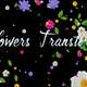 Flowers Transitions - VideoHive Item for Sale