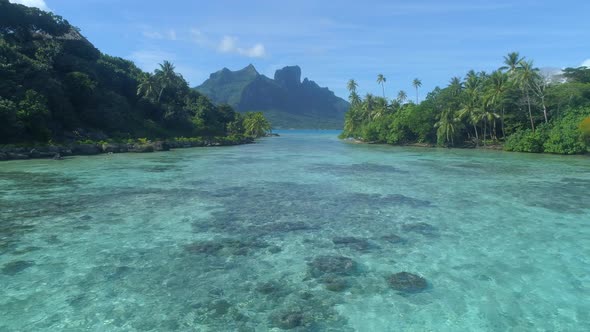 A woman swimming in a tropical green lagoon in Bora Bora tropical island