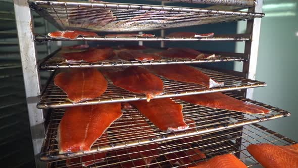 Fresh raw salmon fillets resting on grate after beeing smoked with cypress - Norway