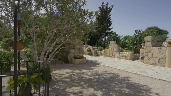 Garden on Mount Tabor