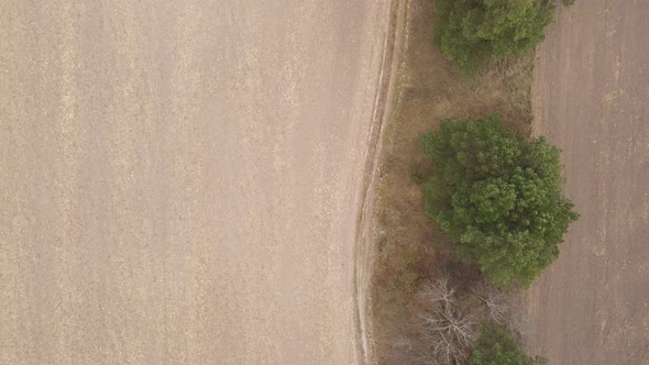 Empty Plowed Field in Autumn Aerial View