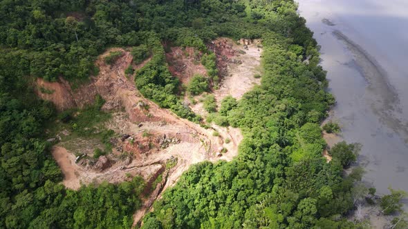 Aerial view forest is cleared near coastal
