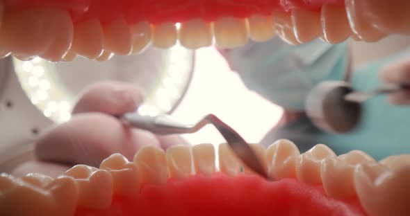 Patient at a Dentist Appointment in a Dental Clinic